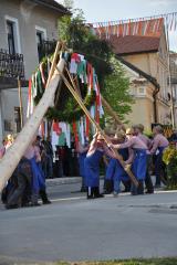šentjurjevo, postavljanje mlaja (3)
